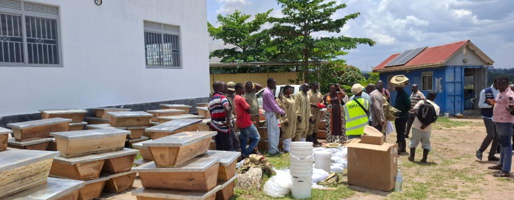 Distribution of beneficial insects items to beneficiaries under UCSATP Project 